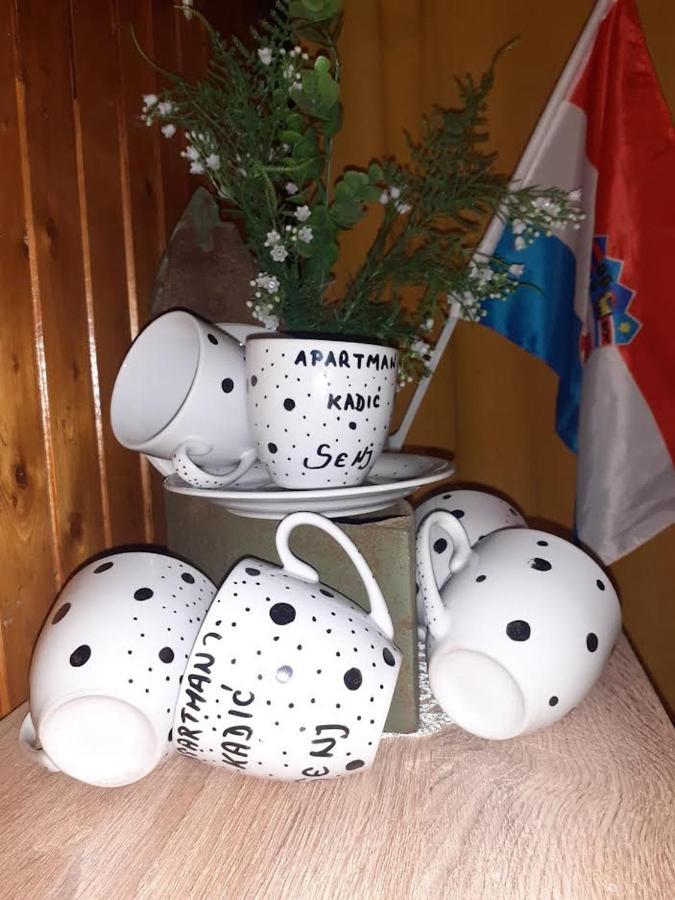 Apartman Kadic Senj سينج المظهر الخارجي الصورة